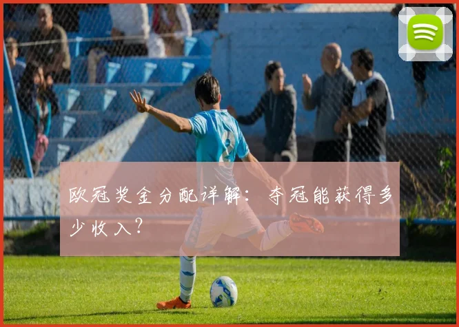 欧冠奖金分配详解：夺冠能获得多少收入？