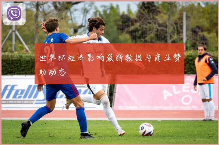 世界杯经济影响最新数据与商业赞助动态