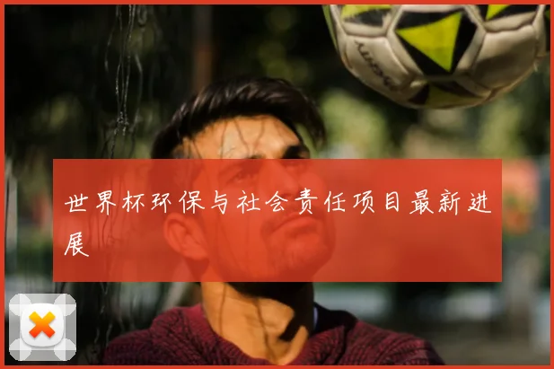 世界杯环保与社会责任项目最新进展